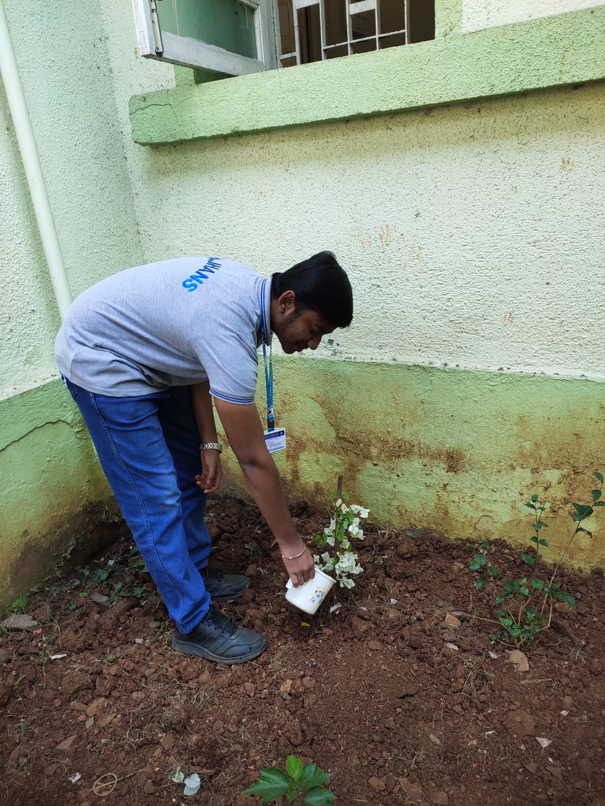 Tree Plantation Drive