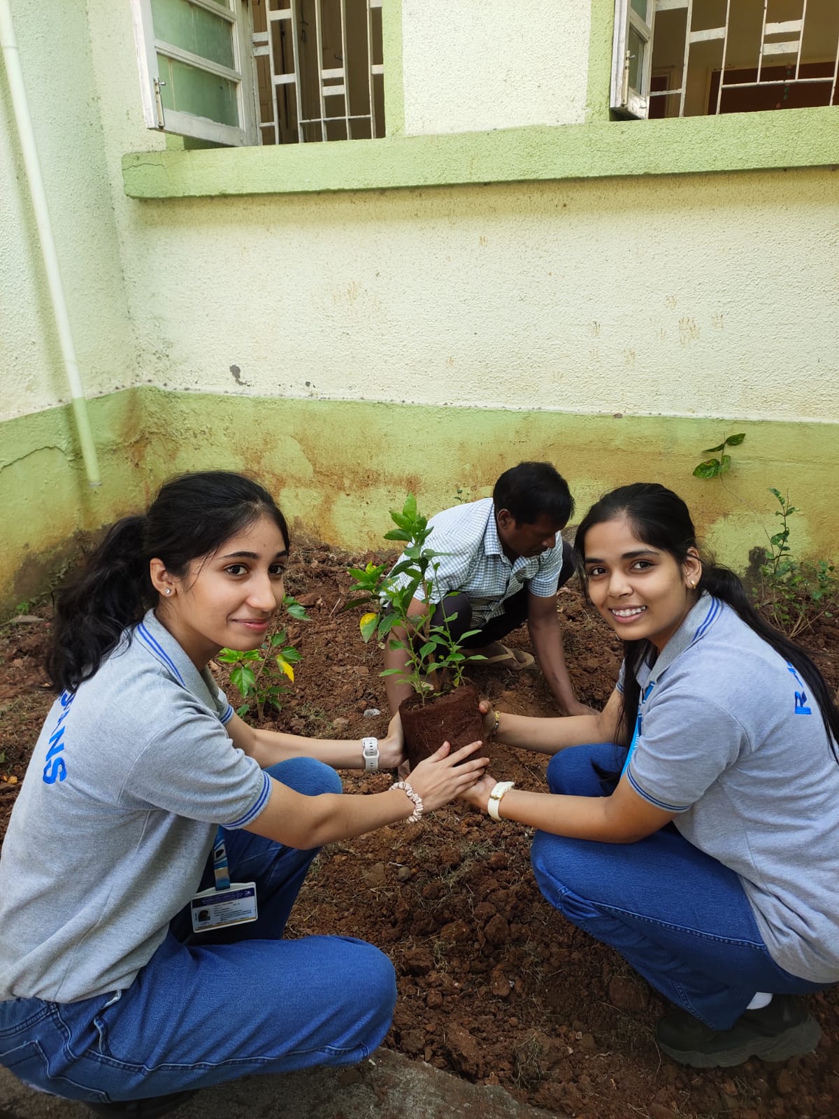 Tree Plantation Drive