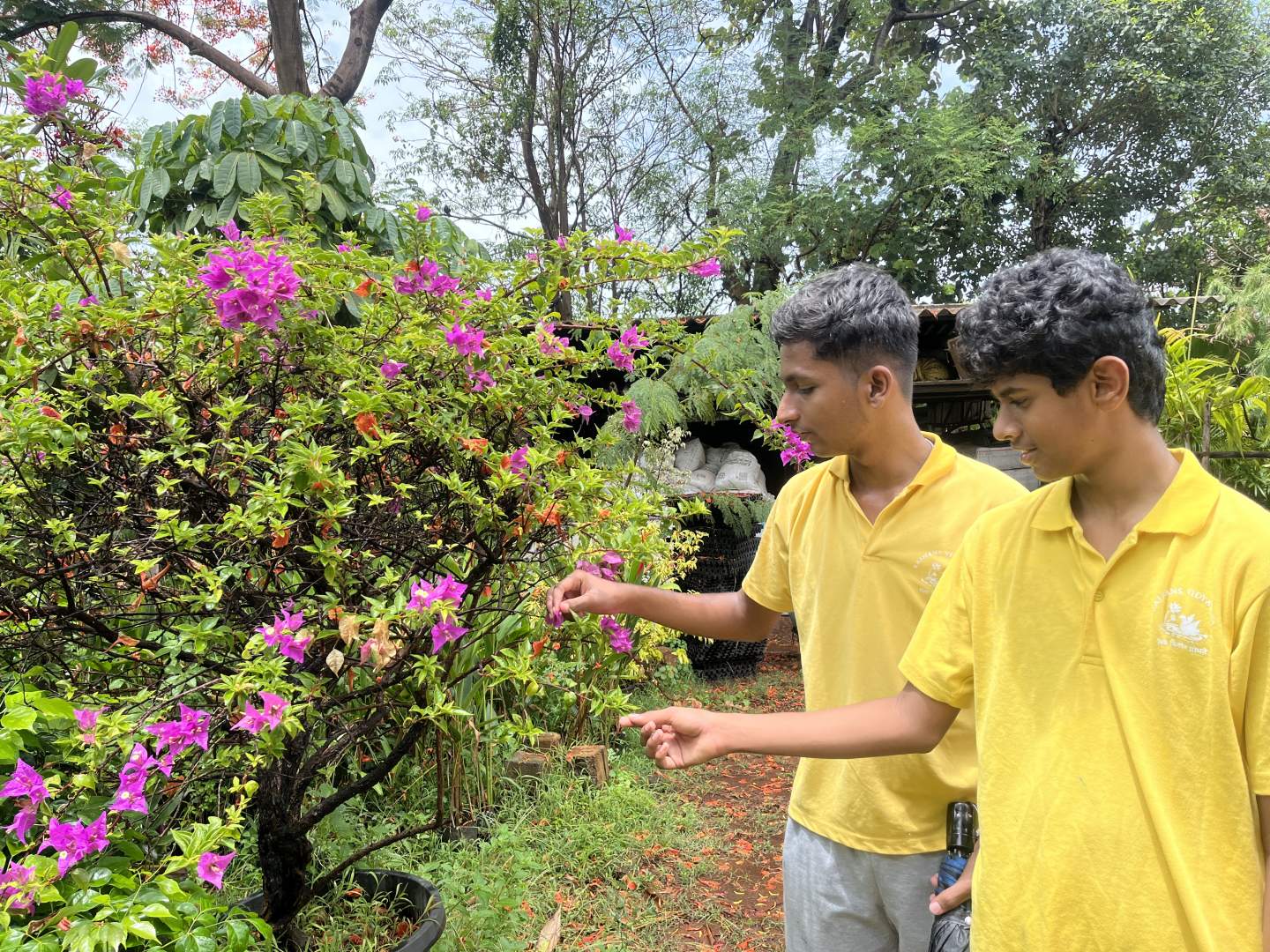 COMPOSTING AWARENESS VISIT TO THE SCHOOL NURSERY – 25 JUNE 2026