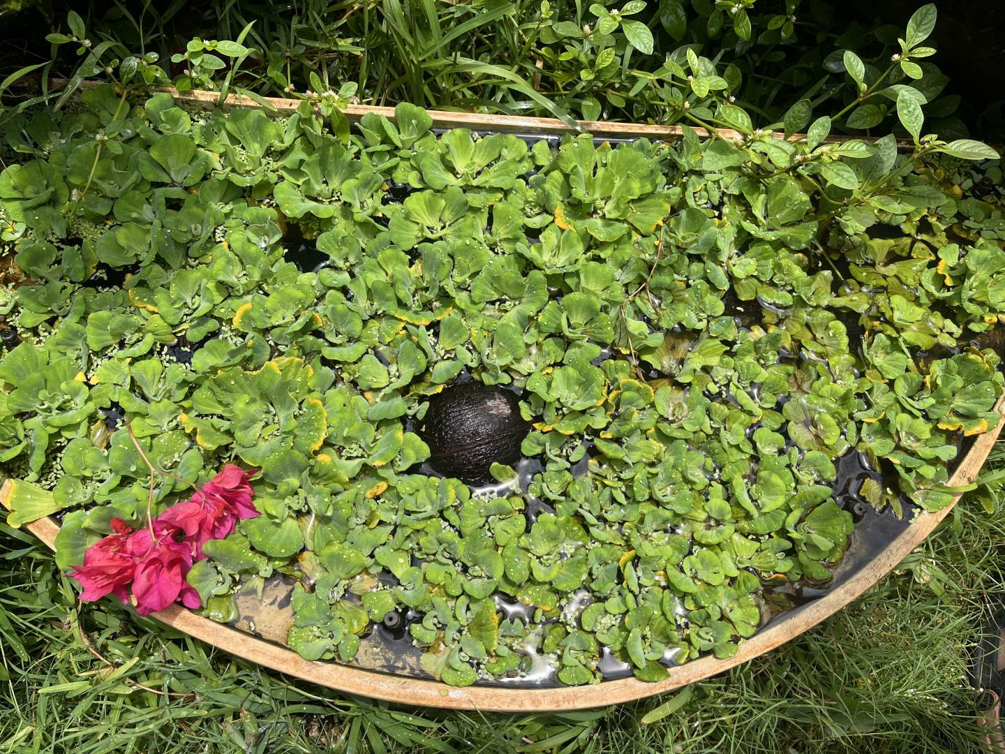 COMPOSTING AWARENESS VISIT TO THE SCHOOL NURSERY – 25 JUNE 2026