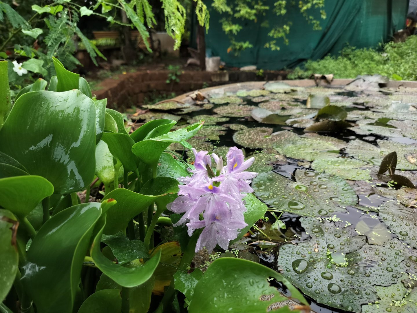  NATURAL TRAIL ACTIVITY – 23 JUNE 2026