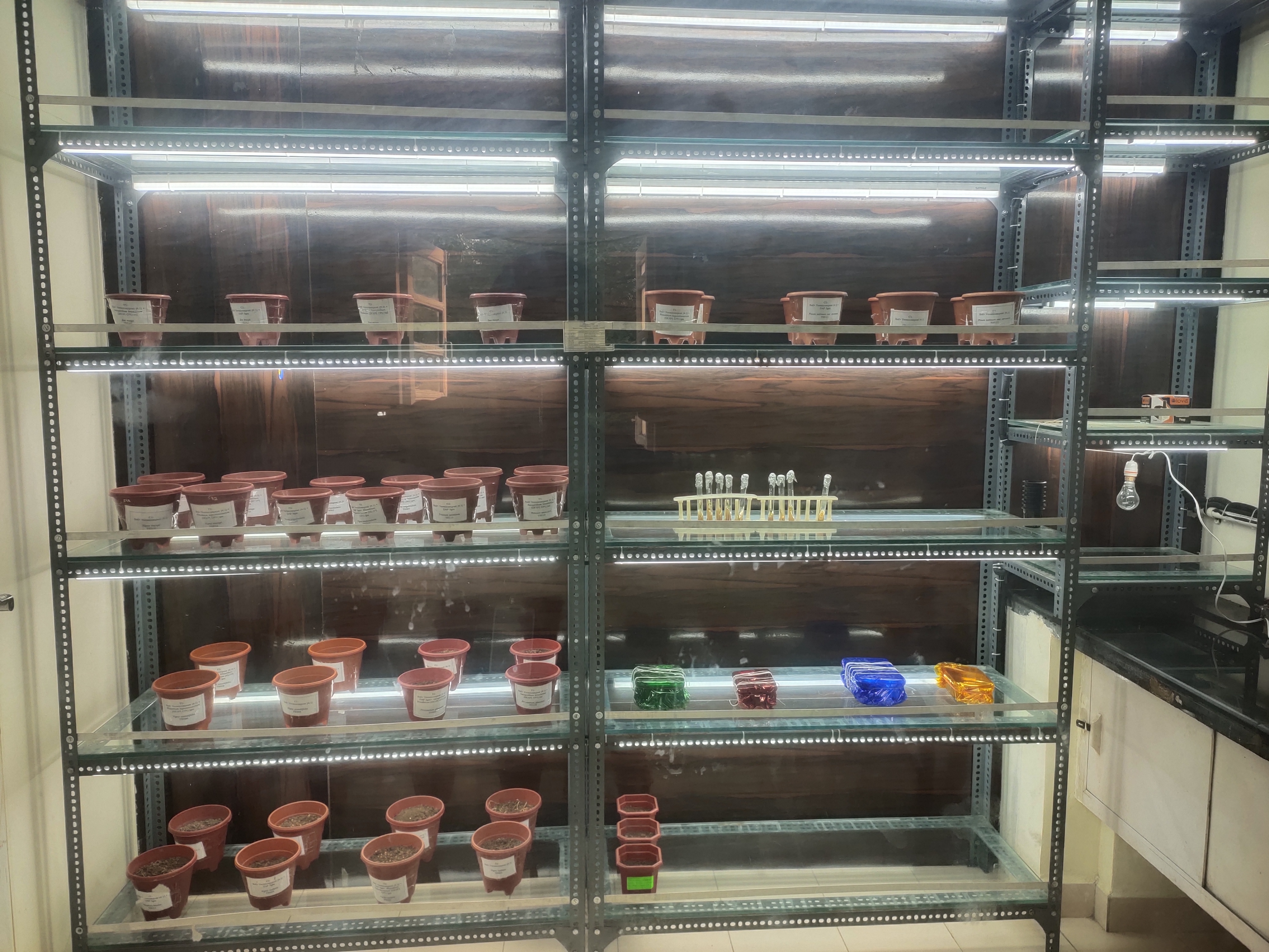 WORKSHOP ON SUSTAINABLE BOTANY-21 JANUARY 2026