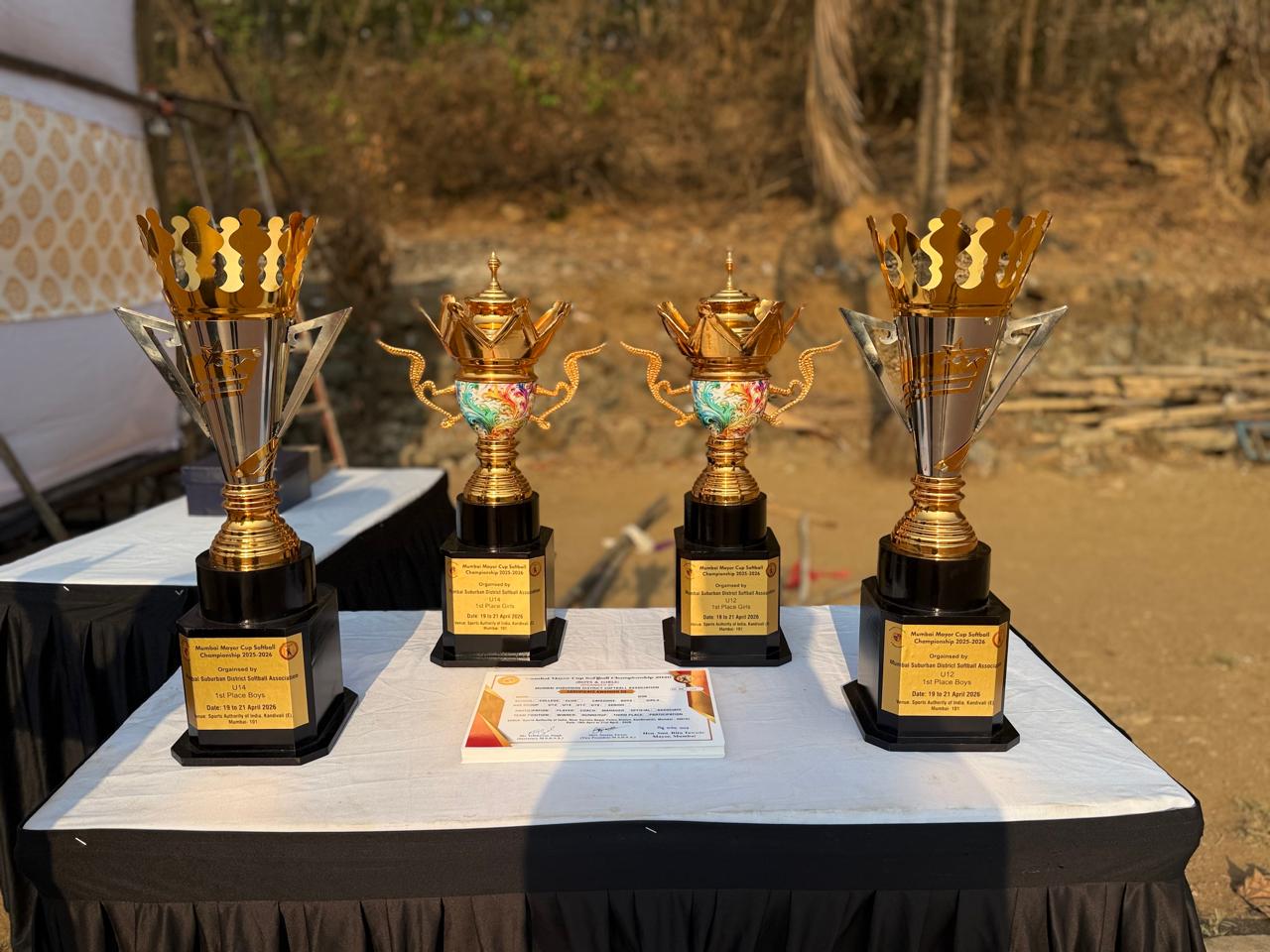 DSO SOFTBALL & BASEBALL ACHIEVEMENTS