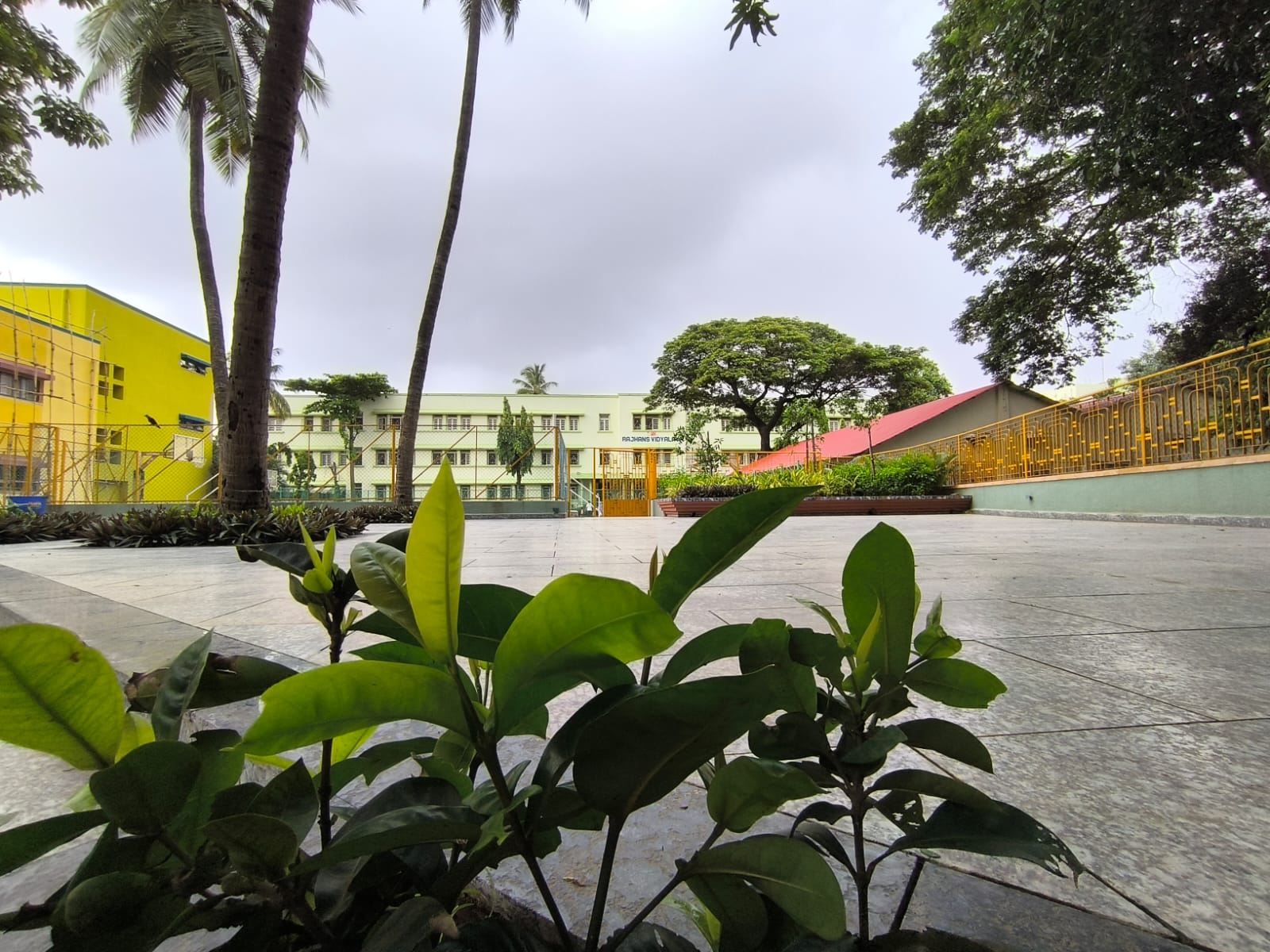 PHOTOGRAPHY SESSION- JULY 5, 2025 