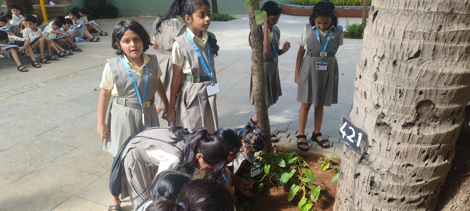 Std 3 A B C - An outdoor science activity in the Gurukul to promote the experiential learning and observation skills .
