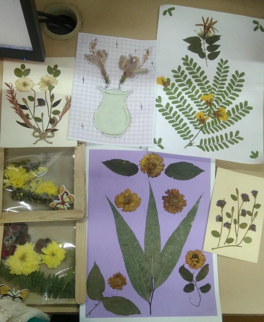 STD. VIII-FLOWER AND LEAF PRESSING ENGLISH ACTIVITY