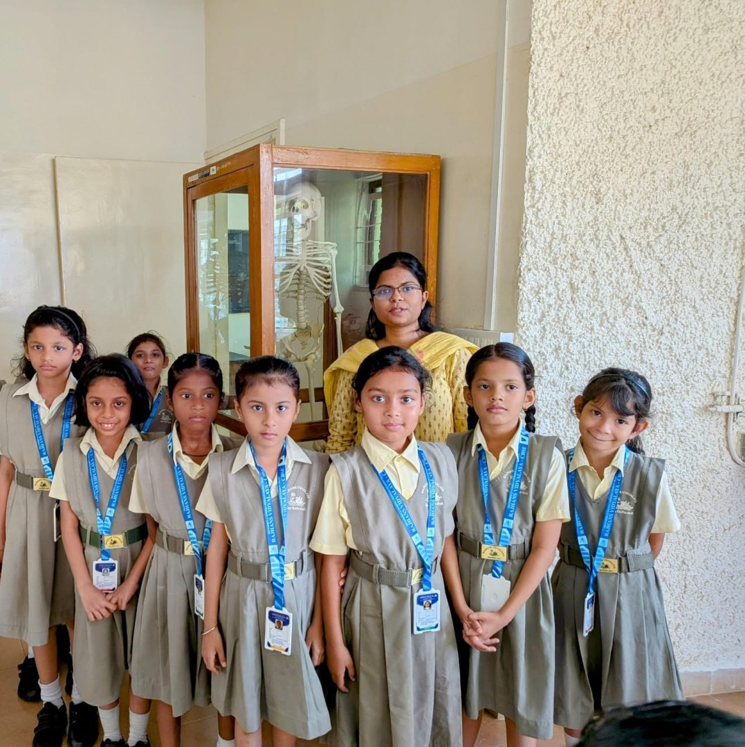 Std. III – Science Activity 